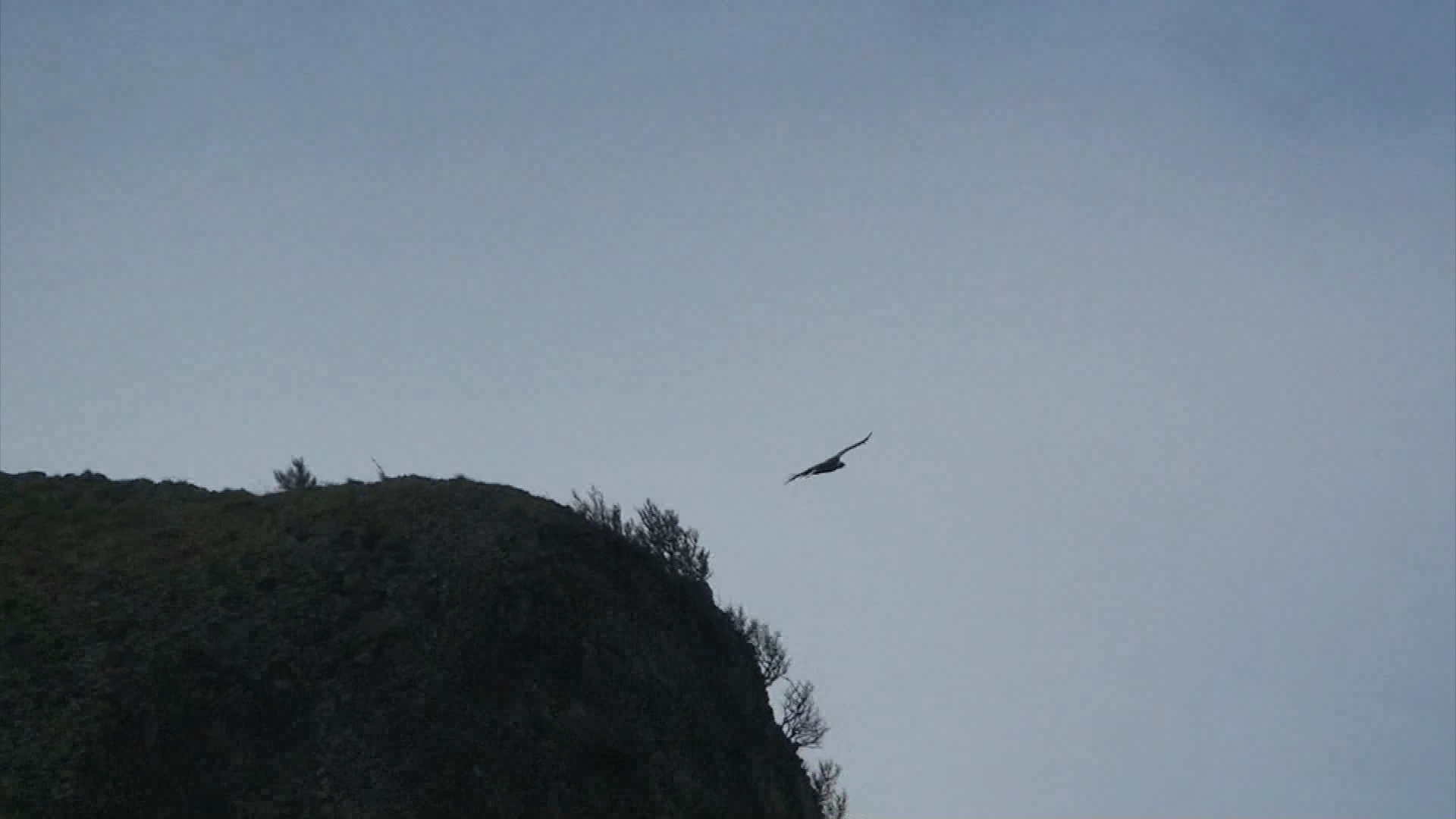 24 septembre 2025 – 19h30