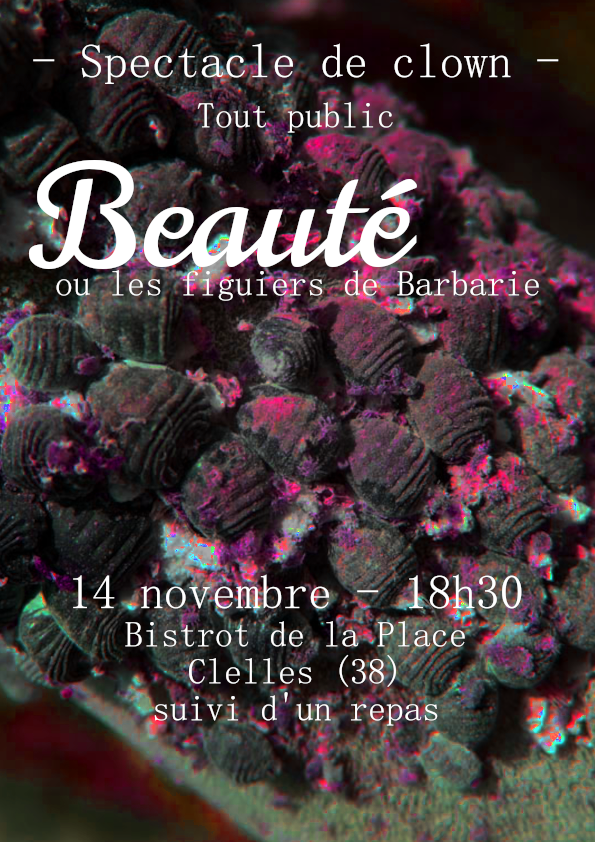 14 novembre 2025 – 18h30